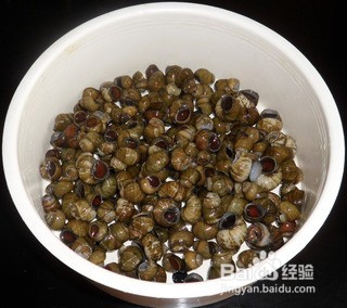 如何做出好吃的田螺？
