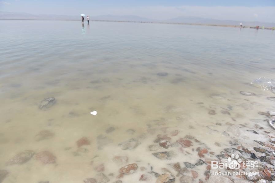 中国的天空之镜茶卡盐湖湖景区