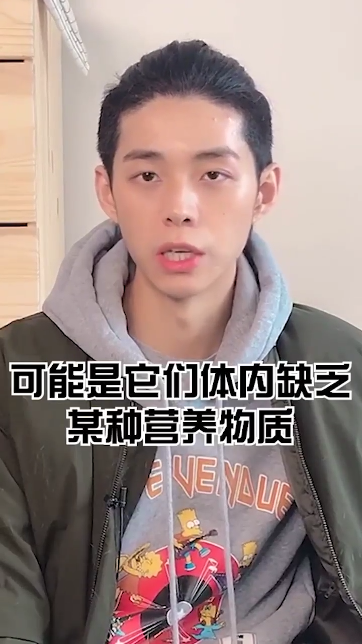 猫咪为什么爱吃塑料袋？