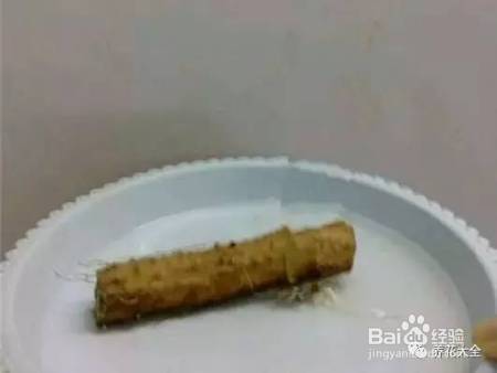 烂苹果、坏土豆别扔，这么做会有奇迹发生！