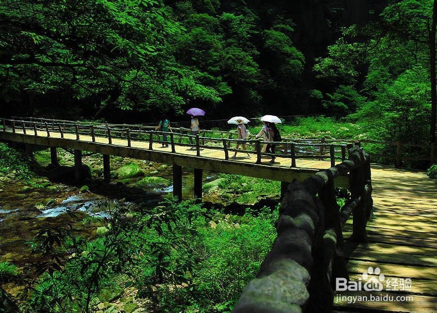 厦门到张家界自助游