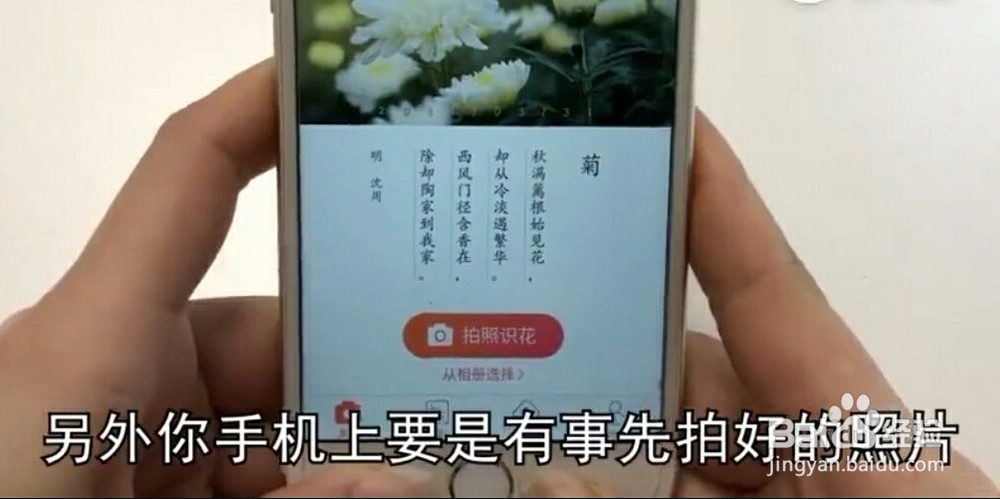 怎样利用微信来识别花草？