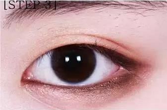 化妆的详细步骤教程