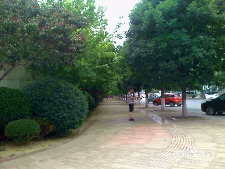 幼儿期的孩子安全出行