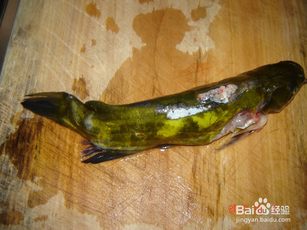 教你做黄甲鱼豆腐汤