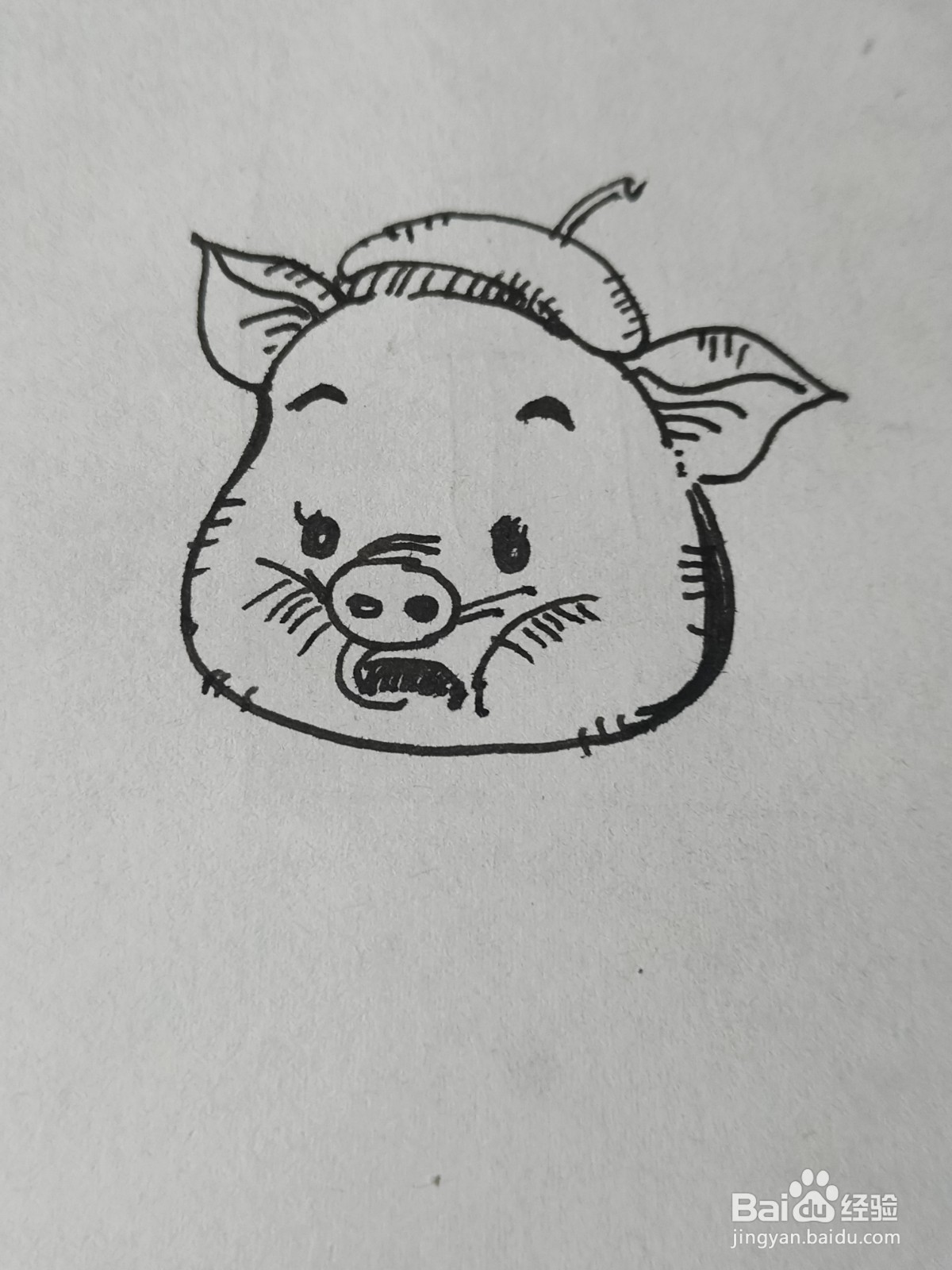 怎么画卡通小猪画家