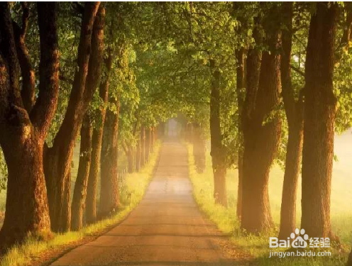 这5个国家 人们把生活过成了诗