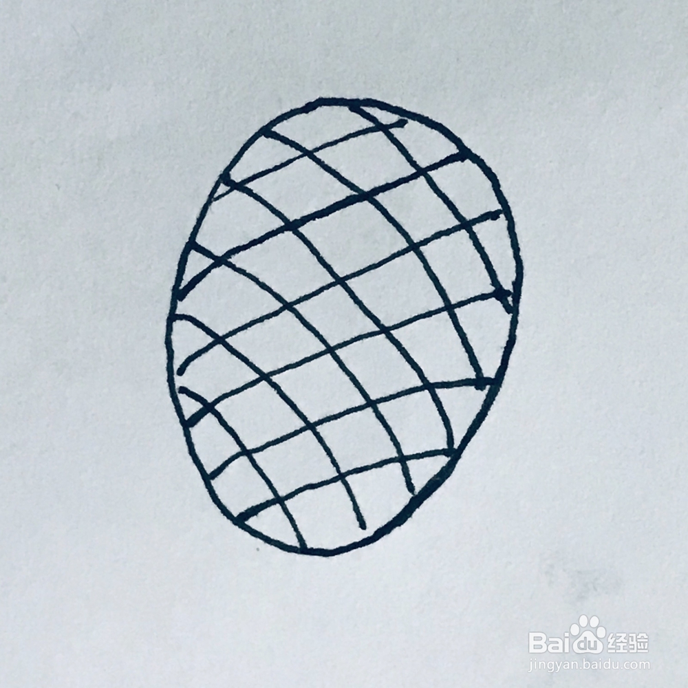 菠萝的简笔画
