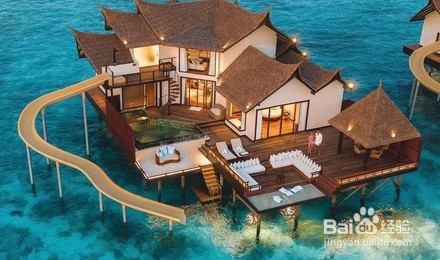 卓美亚维塔维丽岛攻略