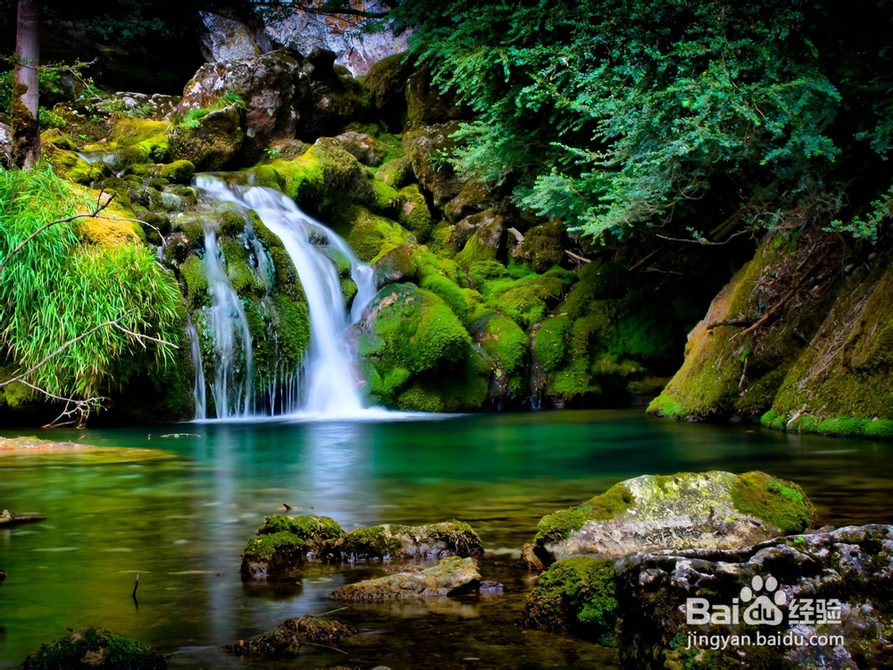 PS森林里河边的天使动漫效果图