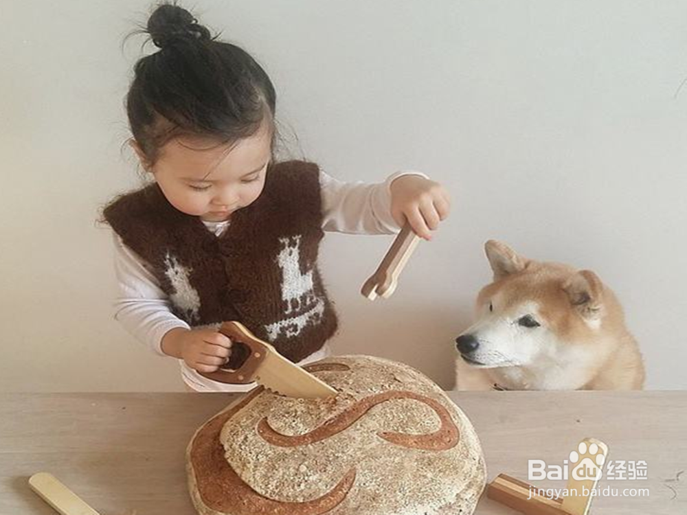 孩子要养宠物,是有害还是有益