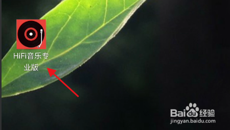 HiFi音乐专业版如何查看账号交易记录