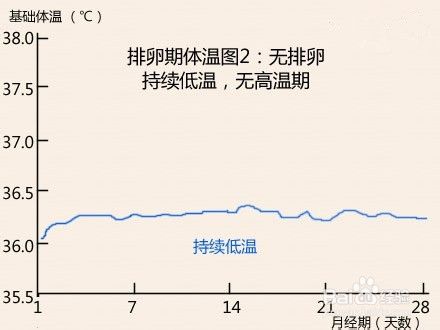 排卵期体温变化图 百度经验