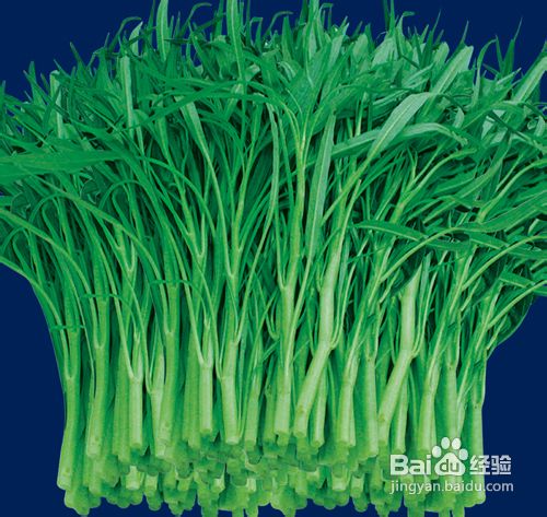 额头长痘痘怎么办