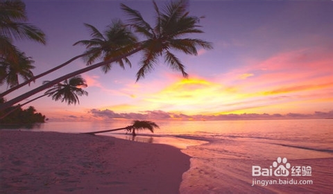 马尔代夫菲利兹优岛旅游攻略