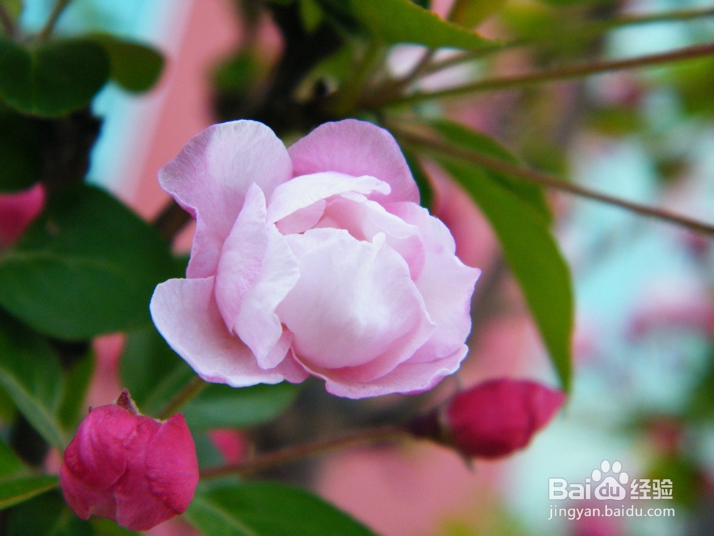 如何在职场和同事相处