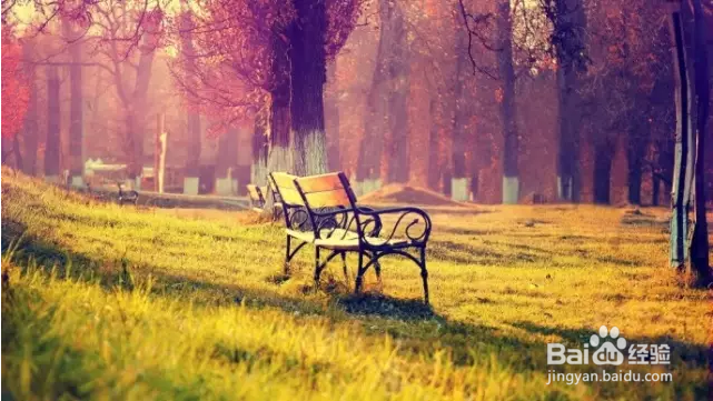 秋季如何拍出好照片？看完这篇文章你就全懂了！