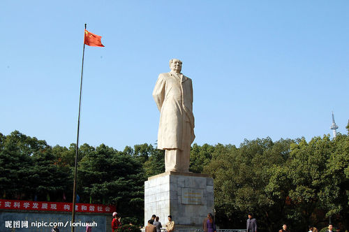 会计自考本科考试计划