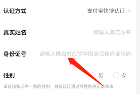 安卓版皮皮如何跳转支付宝认证