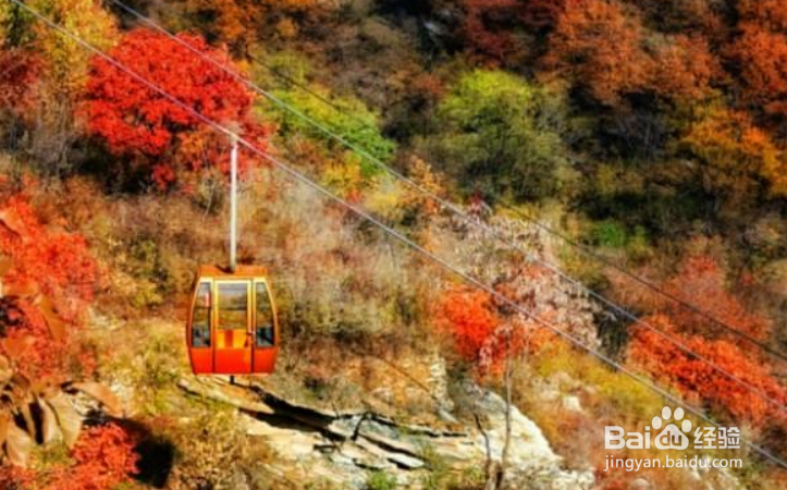 拍摄后所有的照片都需要后期吗？