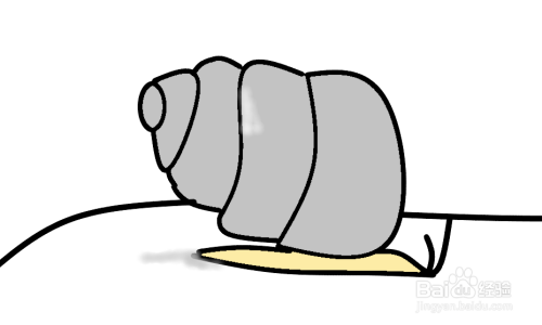 怎么画一只小螺蛳?