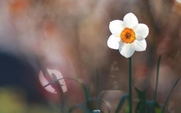 【星座】向来情深,奈何缘浅