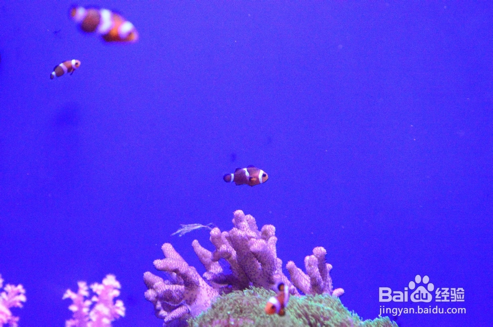 大连一日游攻略