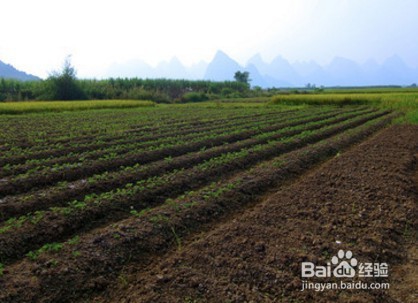 “非法占用耕地罪”法律修改对策建议