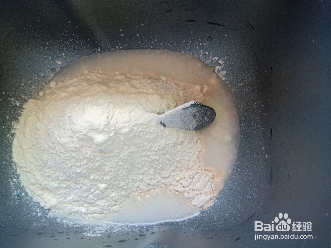 全麦披萨的做法