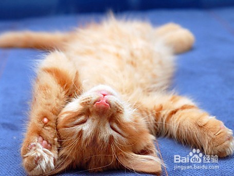 失眠睡不着该怎么办