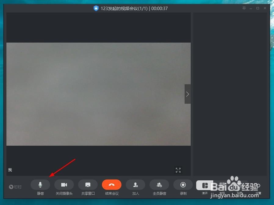 电脑版钉钉视频会议怎么关闭自己的声音（静音）