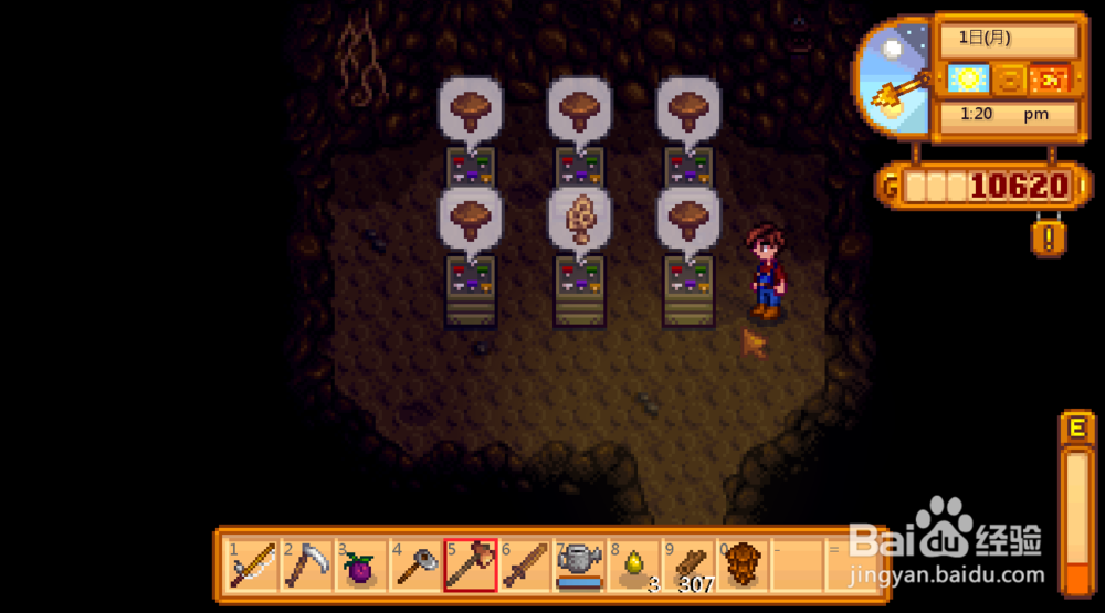 星露谷物语蘑菇和蝙蝠选择 蘑菇和蝙蝠哪个好