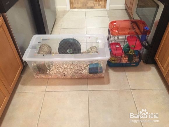 怎样用整理箱DIY制作一个仓鼠笼？