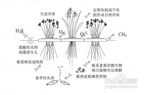 人工浮岛与生态浮岛和生物浮岛的区别用途