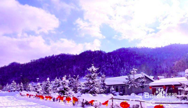 哈尔滨雪谷怎么玩？