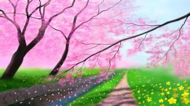 会让你的照片美的不行的PS技术(9)