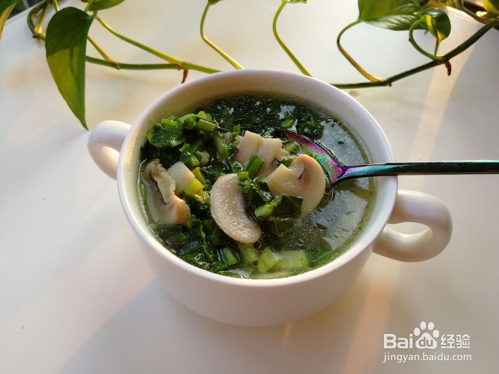 雪里蕻蘑菇豆瓣汤步骤