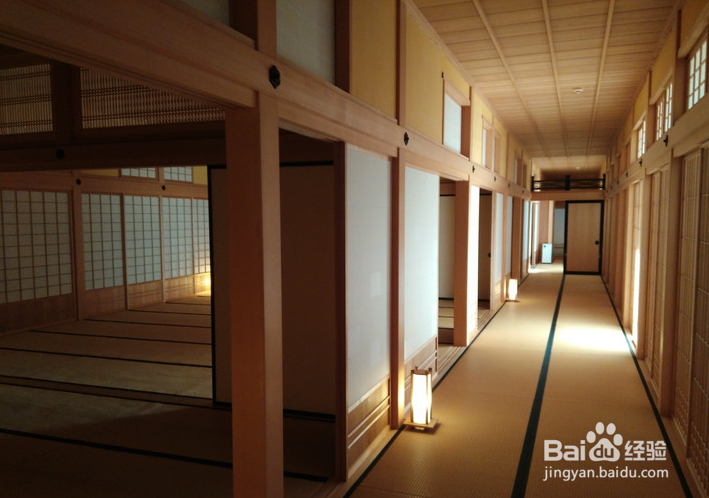 一条性价比爆棚的万元以下日本北海道观雪路线