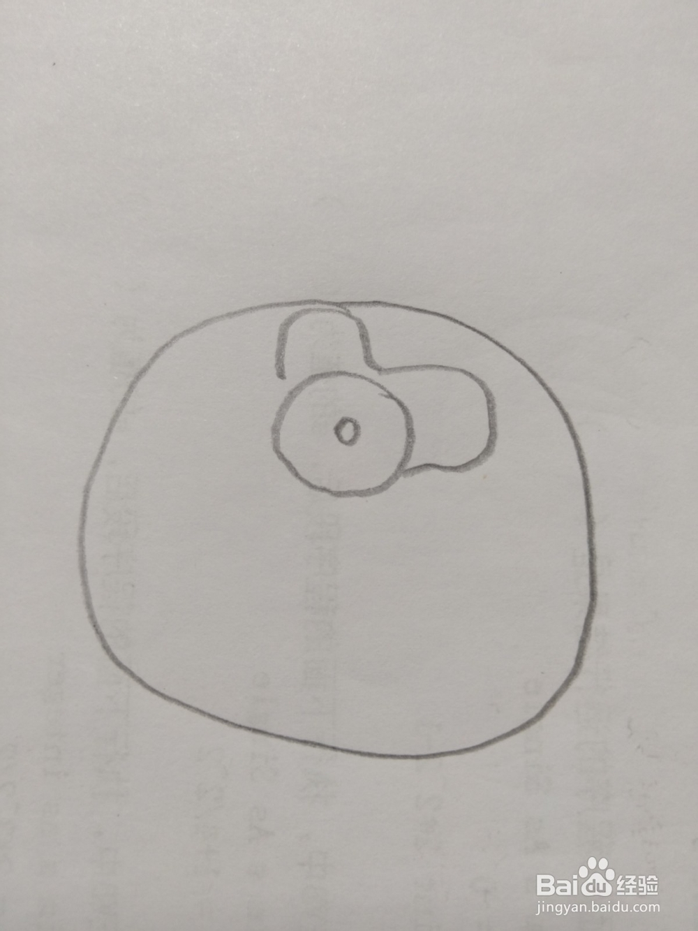 简笔画柿子画法2