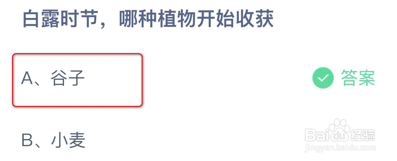 蚂蚁庄园白露时节哪种植物开始收获？