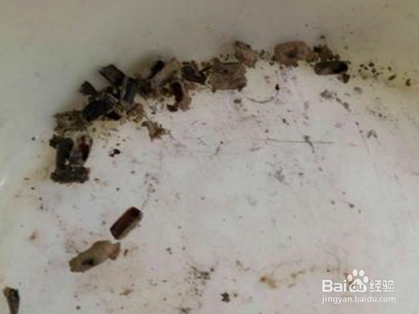 蟑螂的卵怎么清除