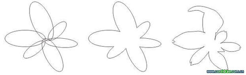 用coreldraw打造逼真静物写生_2