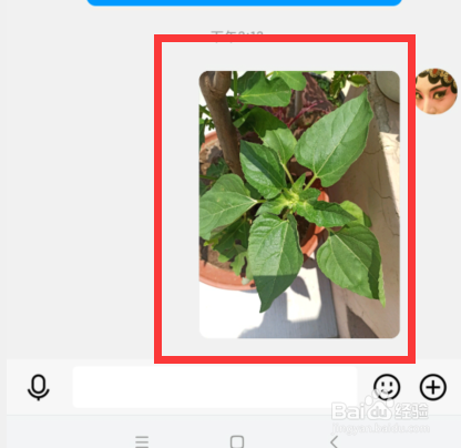 手机QQ如何将对话框里的图片存为表情