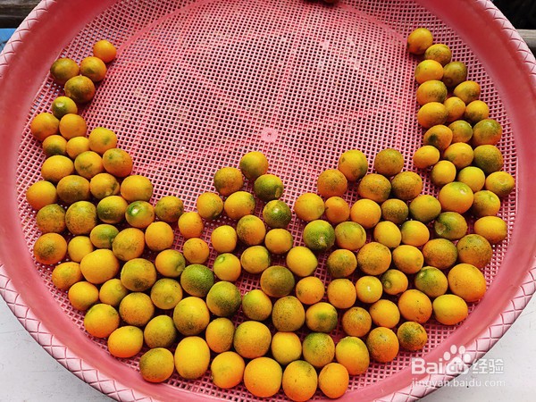 自制金桔酱的做法