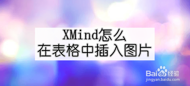 <b>XMind怎么在表格中插入图片</b>