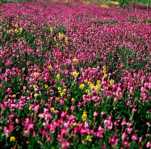 新疆摄影创作之摄影线路篇