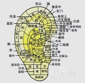按法锻炼，让你心康体健胜青年！
