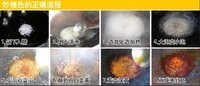 美味红烧肉小论