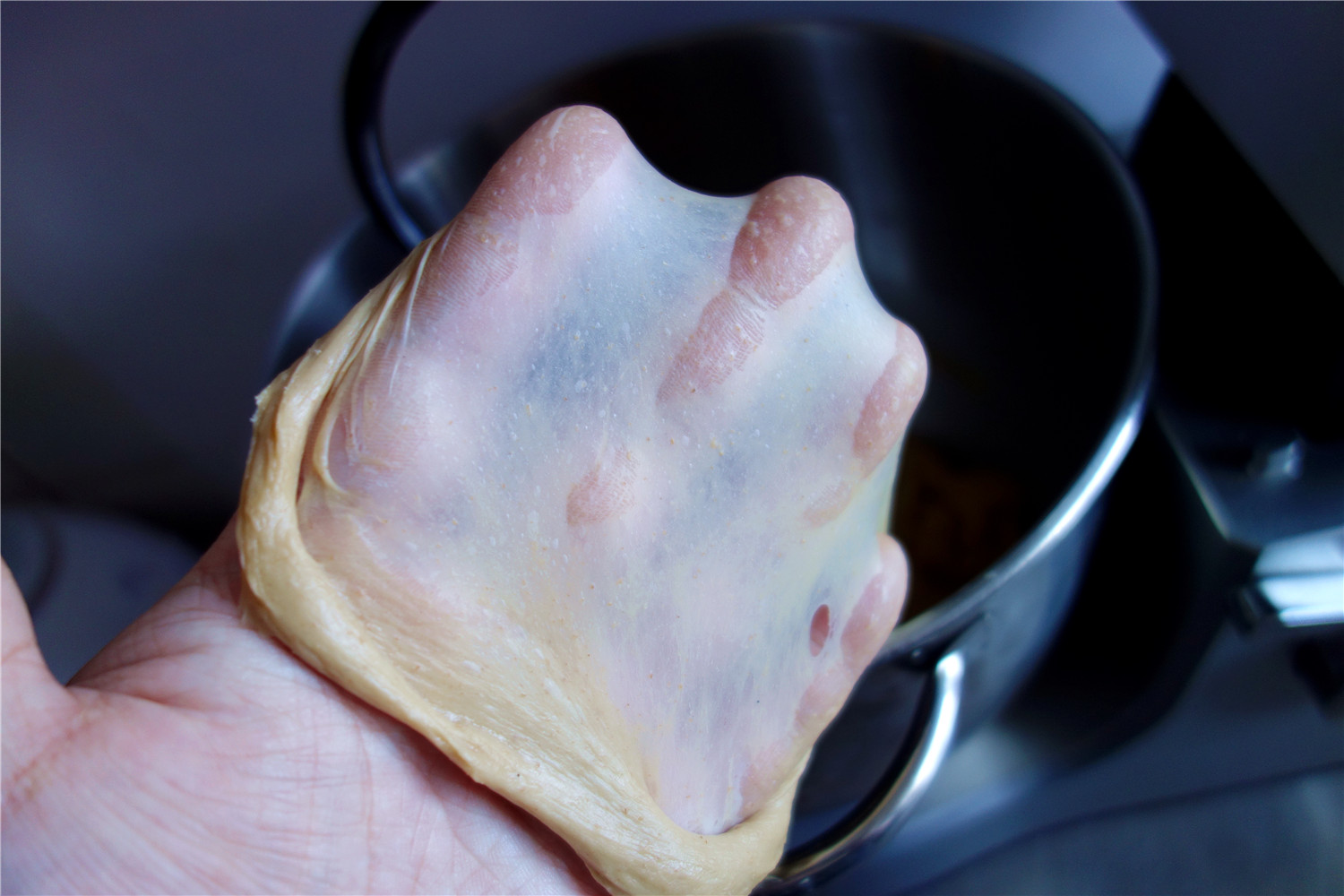 榛子乳酪软欧的做法,你学会了吗