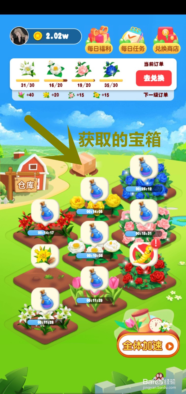 鲜花小镇打开3个宝箱获取奖励。